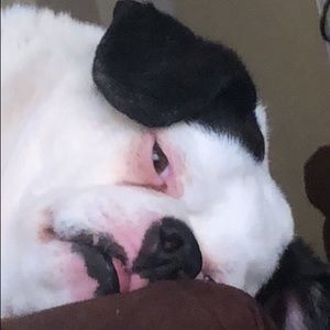 Meet your Posher, Andre